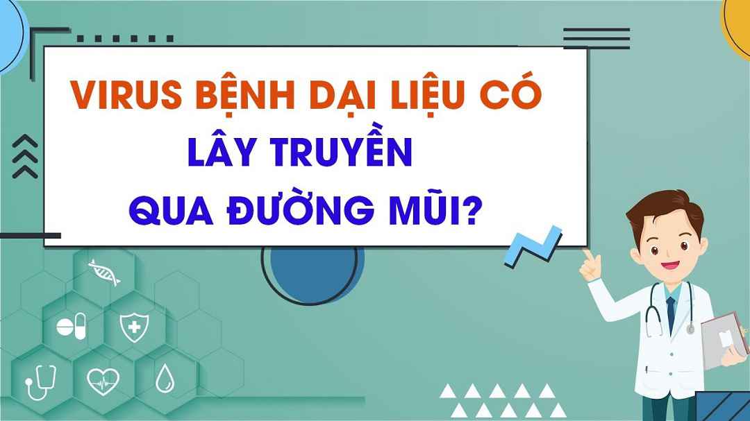 Bệnh dại lây qua đường nào?