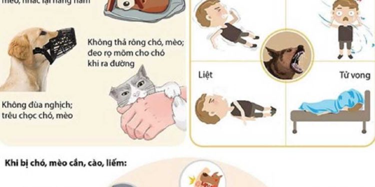 Làm thế nào để phòng tránh bệnh dại?