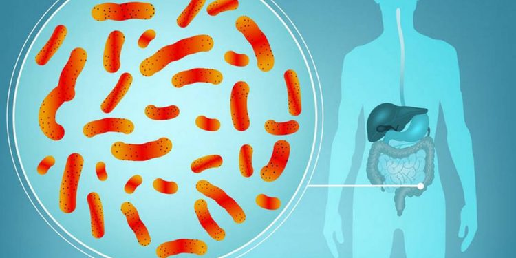Tác hại khôn lường của nhiễm khuẩn đường ruột