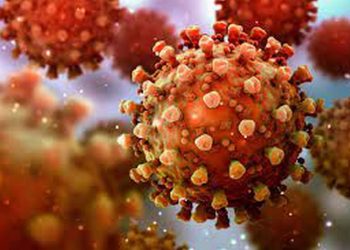 Tổng Quan Về biến thể Lambda SARS-CoV-2 và sự Nguy Hiểm Của Nó