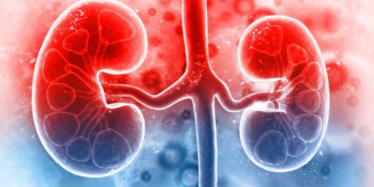 Tiết lộ cách phòng ngừa bệnh viêm cầu thận chuẩn khoa học 