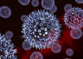 Cấu tạo của Virus Herpes dưới kính hiển vi có nhiều gai nhọn 