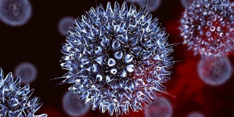 Cấu tạo của Virus Herpes dưới kính hiển vi có nhiều gai nhọn
