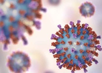 Virus RSV lây lan như thế nào?