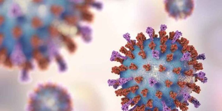 Virus RSV lây lan như thế nào?