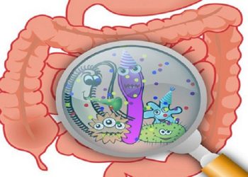 Điều trị nhiễm trùng đường ruột