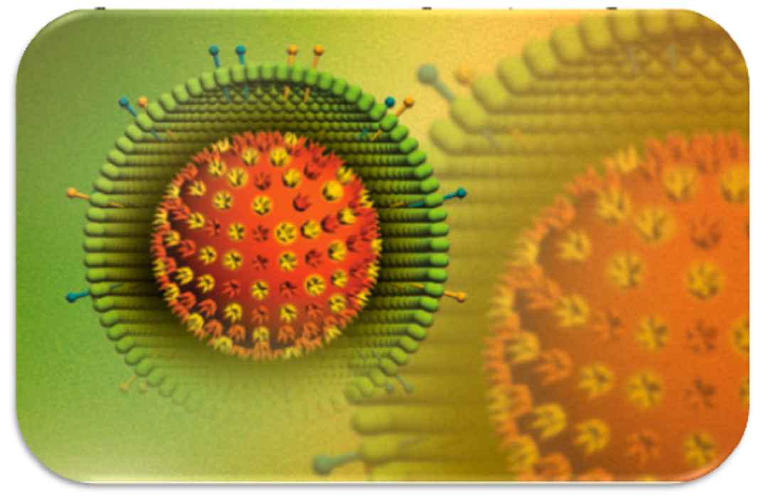 Virus HSV là gì?