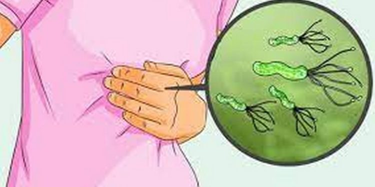 Tổng quan về Vi Khuẩn HP và Mức Độ Nguy Hiểm của nó