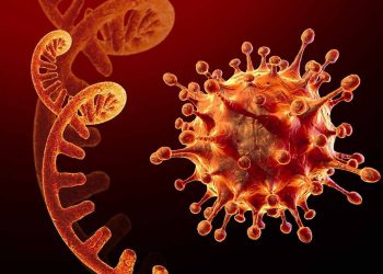 Các bước cần thiết để giữ an toàn