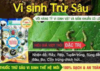 Đặc Điểm Của Chế Phẩm Vi Khuẩn Trừ Sâu