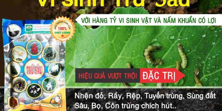 Đặc Điểm Của Chế Phẩm Vi Khuẩn Trừ Sâu