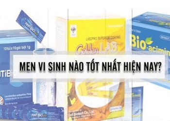 Các yếu tố ảnh hưởng đến hiệu quả của vi sinh tiêu hóa 
