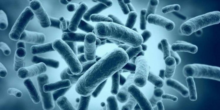 Vi rút cổ đại có tuổi thọ 3 vạn năm dưới lớp băng vĩnh cửu