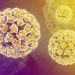 Virus HPV - Một loại virus lây qua đường tình dục phổ biến hiện nay