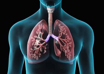 Nội tạng của bệnh nhân lao phổi