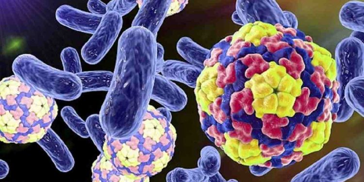 Ứng dụng của vi sinh trong nông nghiệp là gì?