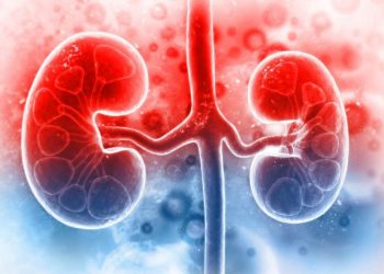 Tiết lộ cách phòng ngừa bệnh viêm cầu thận chuẩn khoa học 