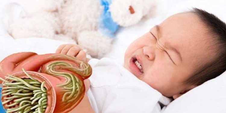 Bệnh giun đũa phổ biến nhất ở trẻ em từ 2 đến 10 tuổi