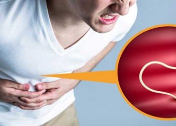Tác hại của giun đũa ký sinh là giun có thể di chuyển sang nhiều nơi gây ra nhiều bệnh
