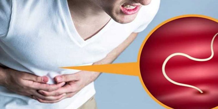 Tác hại của giun đũa ký sinh là giun có thể di chuyển sang nhiều nơi gây ra nhiều bệnh
