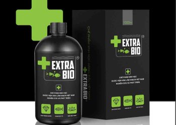 Vi sinh bể cá Extra Bio