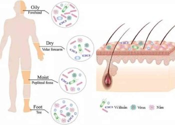 Da - nơi cư ngụ của hàng triệu vi khuẩn