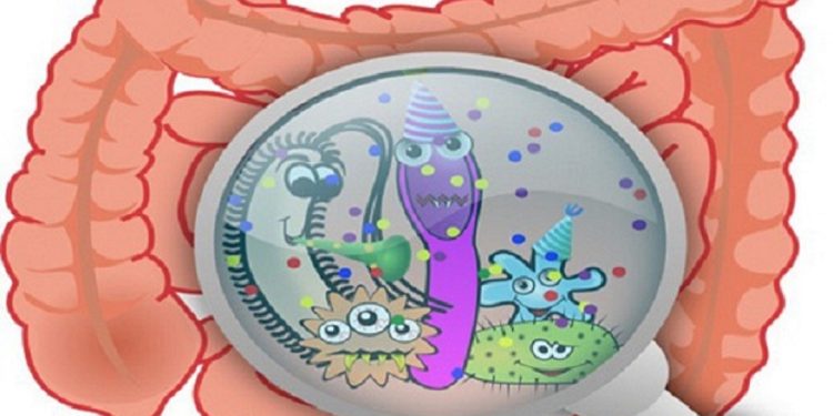 Điều trị nhiễm trùng đường ruột