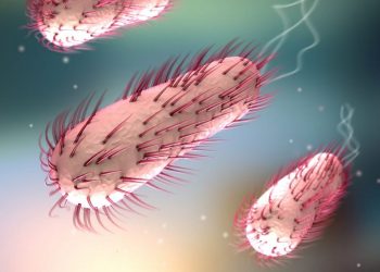 Các triệu chứng của Bệnh nhiễm Vi Khuẩn E Coli.