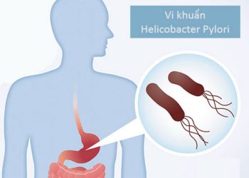 Tác động của Vi Khuẩn HP lên Hệ Tiêu Hóa của Người Bệnh