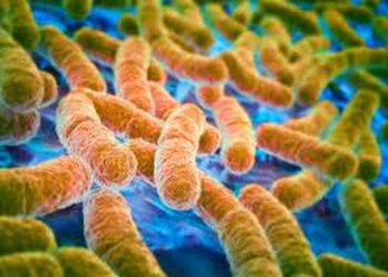 Cách Phòng Tránh Nhiễm Vi Khuẩn E Coli