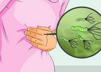 Tổng quan về Vi Khuẩn HP và Mức Độ Nguy Hiểm của nó