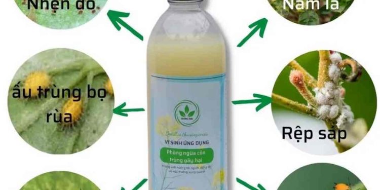 Tầm quan trọng của Chế phẩm vi khuẩn trừ sâu