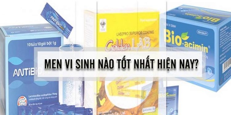 Các yếu tố ảnh hưởng đến hiệu quả của vi sinh tiêu hóa 