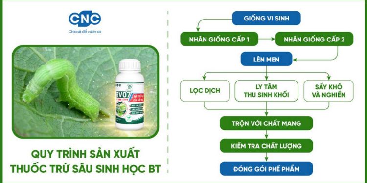 Các yếu tố quan trọng