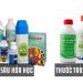 Tổng quan về Chế phẩm Vi Khuẩn Trừ Sâu: