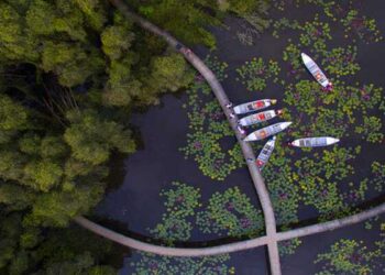 Làng nổi Tân Lập